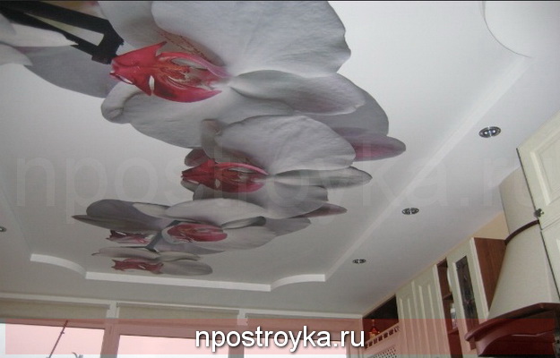 натяжные потолки 3d фото