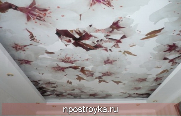 натяжные потолки 3d фото