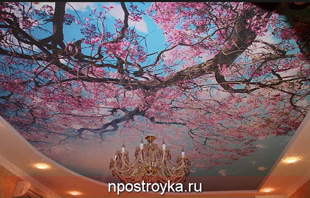 натяжные потолки 3d фото