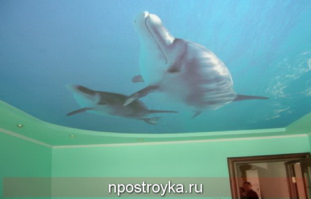 натяжные потолки 3d фото
