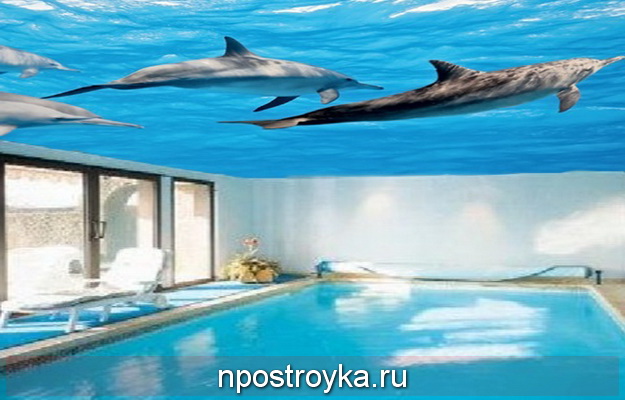 Натяжные потолки с фотопечатью в бассейне