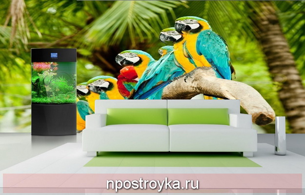 натяжные стены с фотопечатью