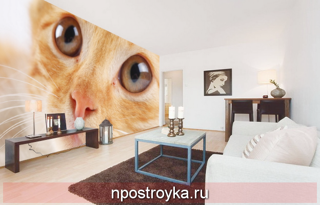 натяжные стены с фотопечатью