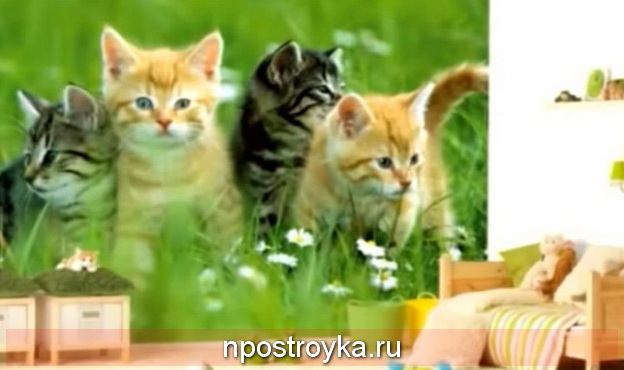 натяжные стены с фотопечатью