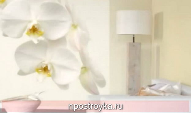 натяжные стены с фотопечатью