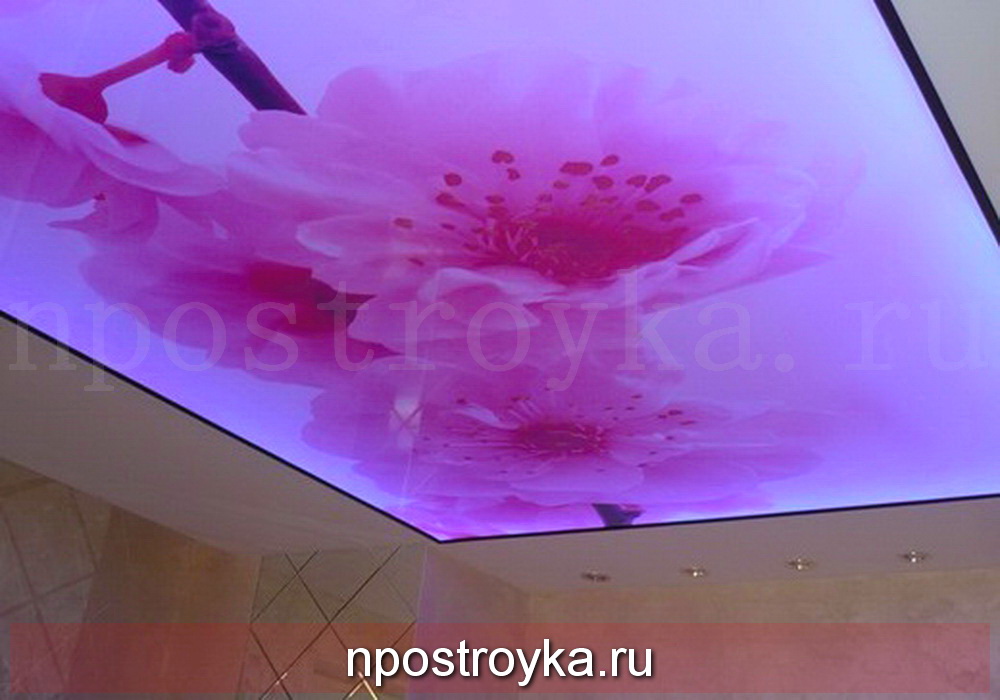 полупрозрачные натяжные потолки фото 1