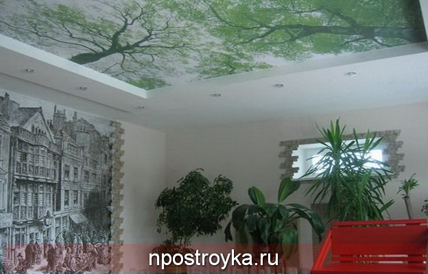 натяжной потолок в интерьере Кантри