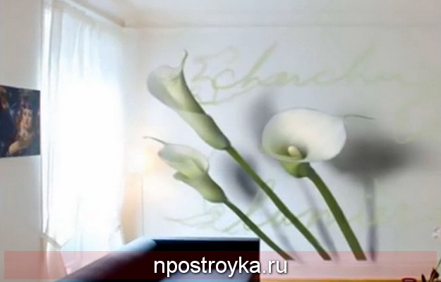 натяжные стены с фотопечатью