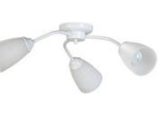 Vitaluce002