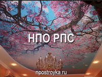 Фотографии натяжных потолков