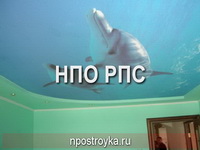 Фотографии натяжных потолков