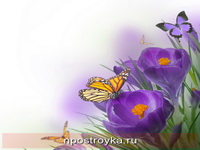 Фотопечать бабочки Фото 44