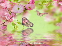 Фотопечать бабочки Фото 53