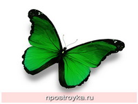 Фотопечать бабочки Фото 70