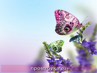 Фотопечать бабочки Фото 34
